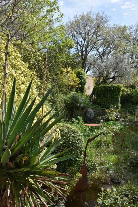 La Petite Maison Des Artistes Séguret Exterior foto