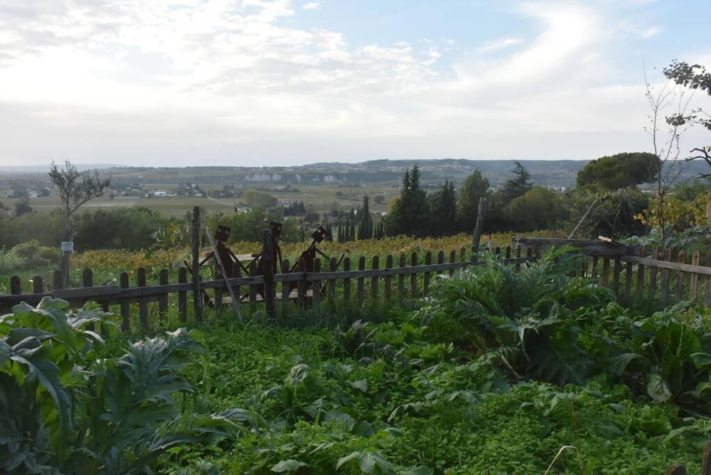 La Petite Maison Des Artistes Séguret Exterior foto