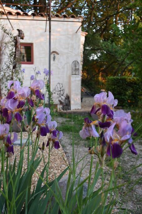 La Petite Maison Des Artistes Séguret Exterior foto