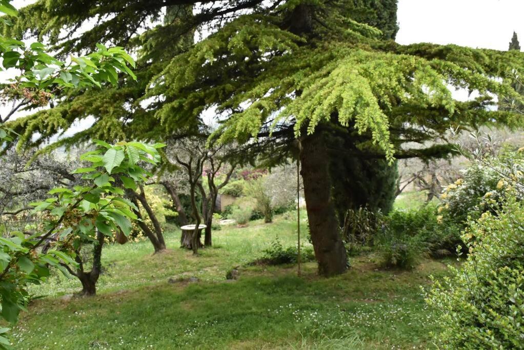 La Petite Maison Des Artistes Séguret Exterior foto